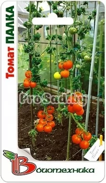 Томат Палка