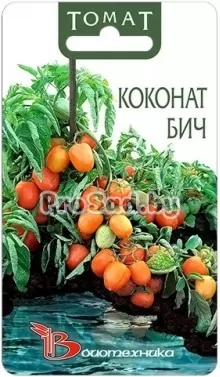 Томат Коконат Бич