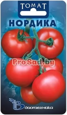 Томат Нордика