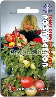 Томат Роза ветров