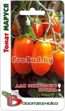 Томат Маруся