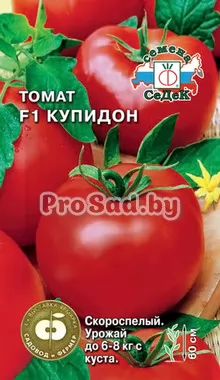 Томат F1 Купидон