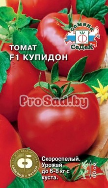 Томат F1 Купидон
