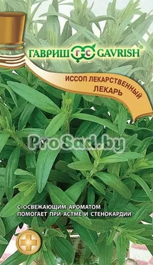 Иссоп лекарственный Лекарь