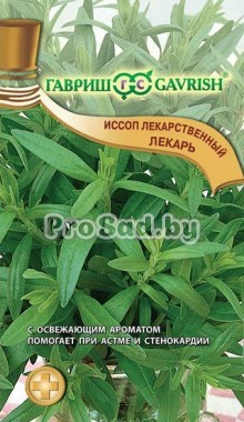 Иссоп лекарственный Лекарь