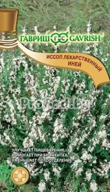 Иссоп лекарственный Иней