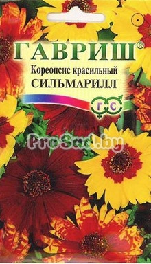 Кореопсис красильный Сильмарилл