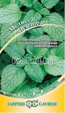 Мелисса лекарственная Исидора
