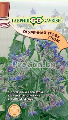 Бораго (Огуречная трава) Гном