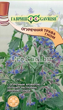 Бораго (Огуречная трава) Гном
