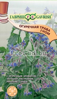 Бораго (Огуречная трава) Гном