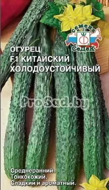 Огурец Китайский Холодоустойчивый F1
