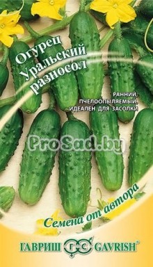 Огурец Уральский разносол