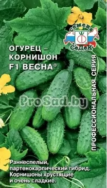 Огурец-корнишон F1 Весна