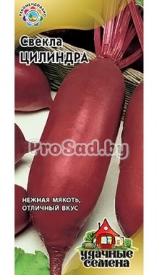 Свёкла столовая Цилиндра