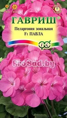 Пеларгония зональная F1 Павла