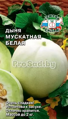 Дыня мускатная Белая