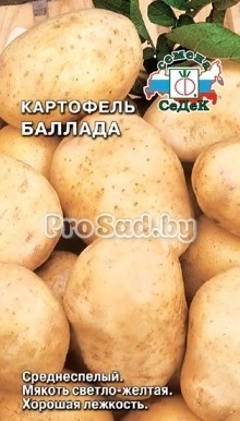 Картофель Баллада