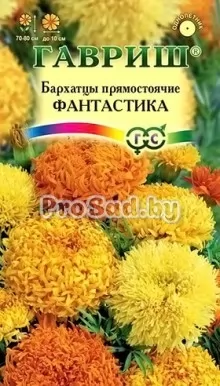 Бархатцы прямостоячие (Тагетес) Фантастика