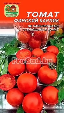 Томат Финский карлик