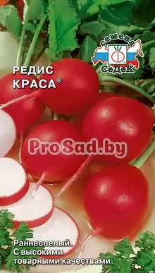 Редис Краса