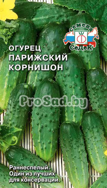 Огурец Парижский корнишон