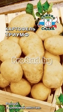 Картофель Триумф