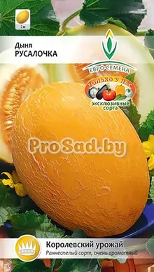 Дыня Русалочка