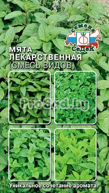 Мята Лекарственная (смесь видов)