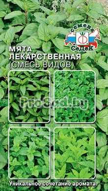 Мята Лекарственная (смесь видов)