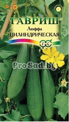 Люффа Цилиндрическая
