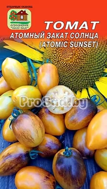 Томат Атомный закат солнца