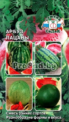 Арбуз Пацаны