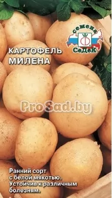 Картофель Милена