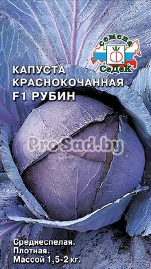 Капуста краснокочанная F1 Рубин