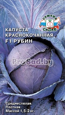 Капуста краснокочанная F1 Рубин