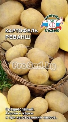 Картофель Реванш