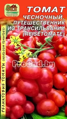 Томат реликтовый Чесночный (Путешественник из Трансильвании)