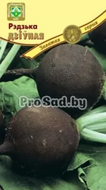 Редька Дивная (Черная)