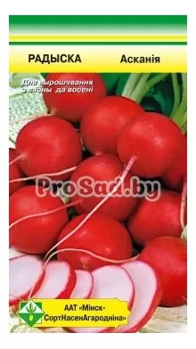 Редис Аскания (Германия)
