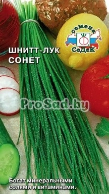 Лук-шнитт Сонет