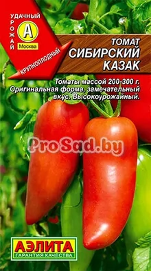 Томат Сибирский казак