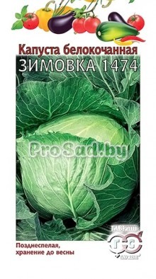 Капуста белокочанная Зимовка 1474