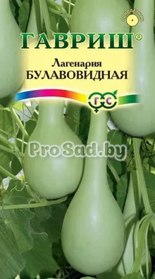 Лагенария Булавовидная