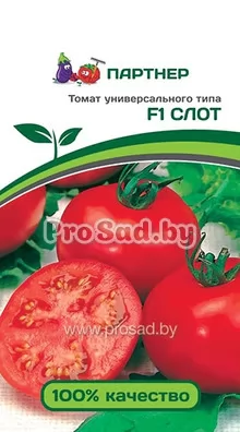 Томат F1 Слот
