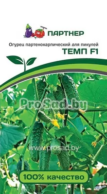 Огурец F1 Темп