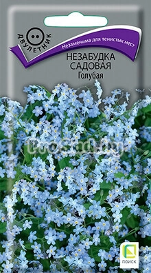 Незабудка садовая Голубая
