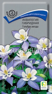 Аквилегия гибридная Голубая звезда