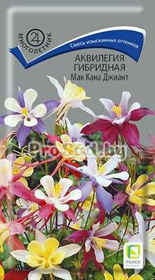 Аквилегия Мак Кана Джиант