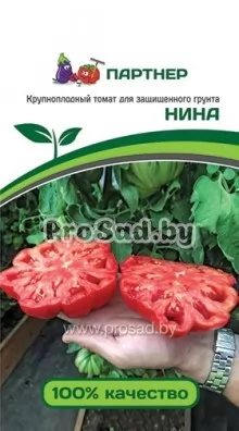 Томат Нина